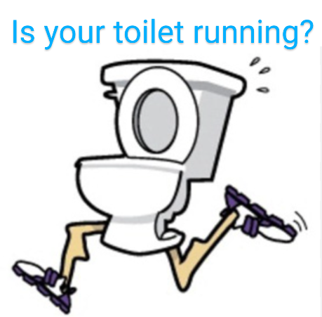 Running Toilet